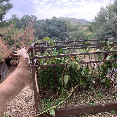 Casa rural Cortijo El Helao Pozo Alcón